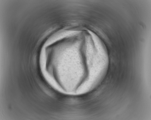 X0000113610250200910161936