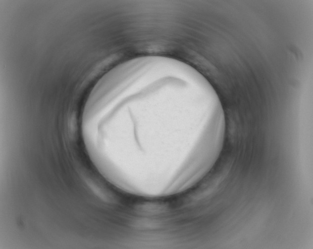 X0000113610251200910161936