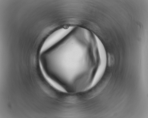 X0000113610252200910161936