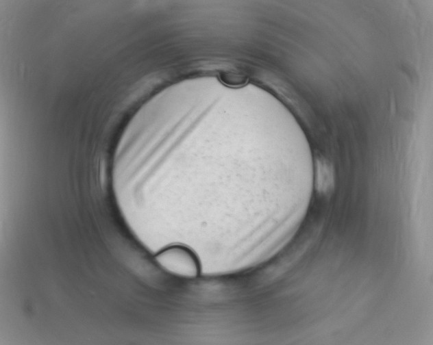 X0000113610253200910161936