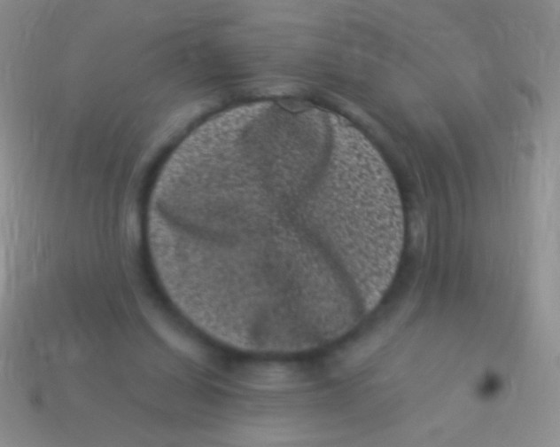 X0000113610254200910161936