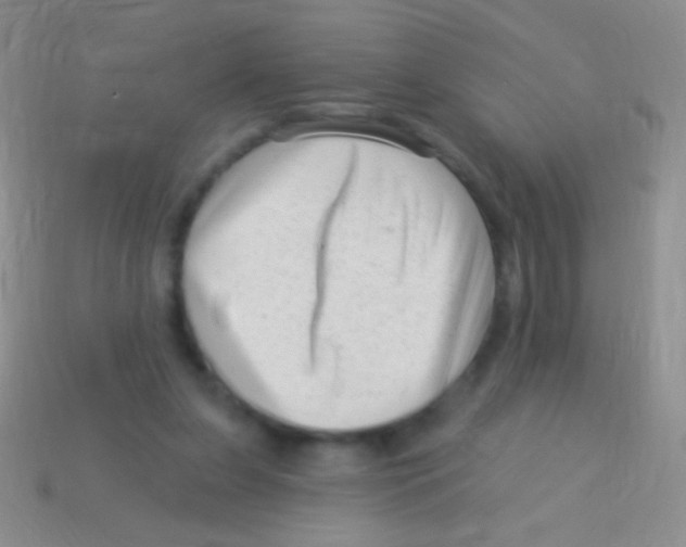 X0000113610255200910161936