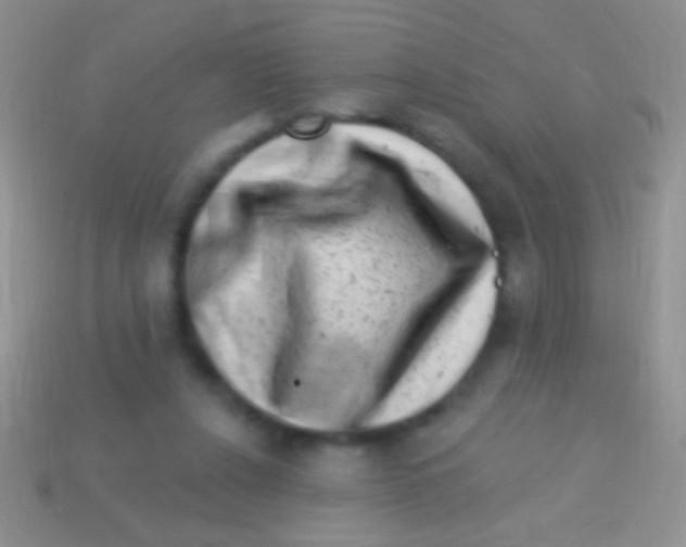 X0000113610256200910161936