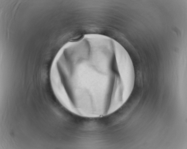 X0000113610259200910161936