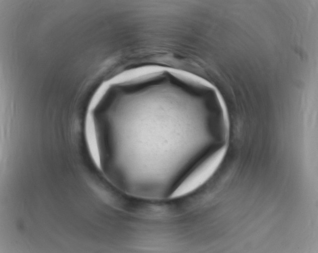 X0000113610260200910161936