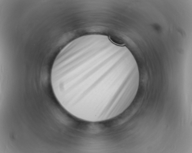 X0000113610261200910161936