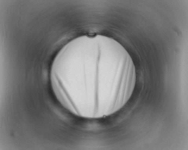 X0000113610262200910161936