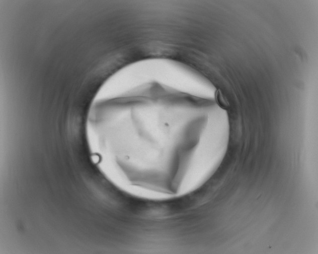 X0000113610263200910161936