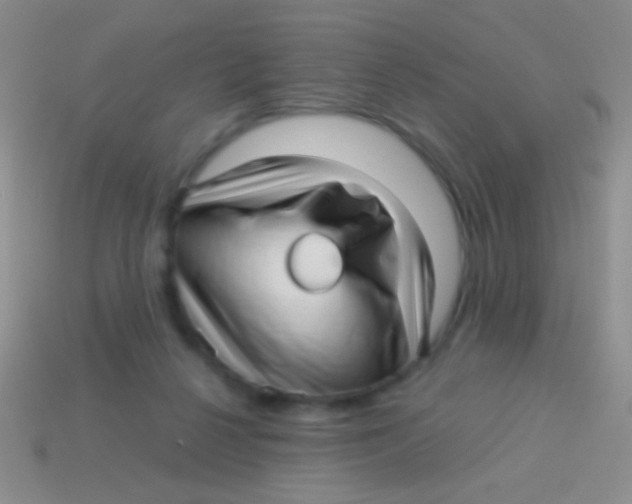 X0000113610264200910161936