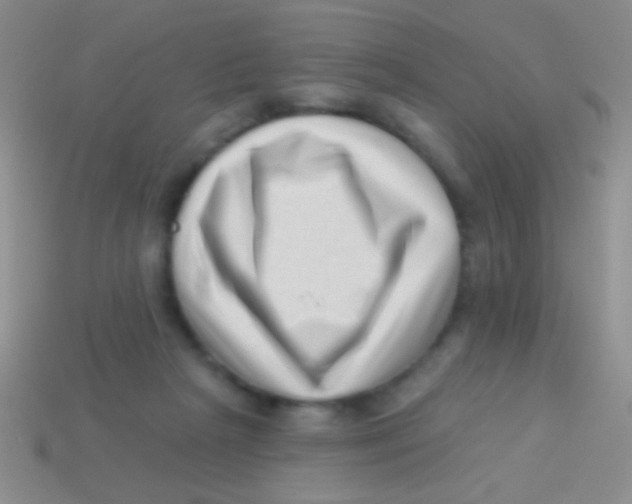 X0000113610265200910161936