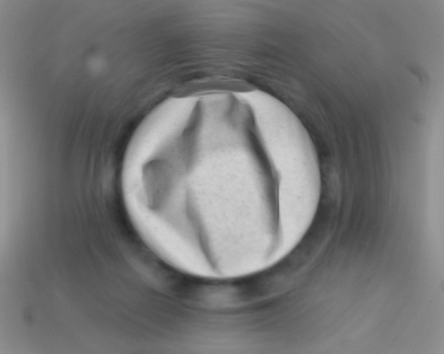 X0000113610266200910161936