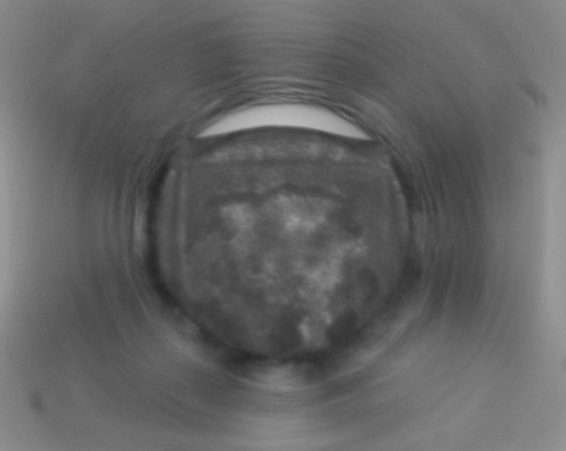 X0000113610267200910161936