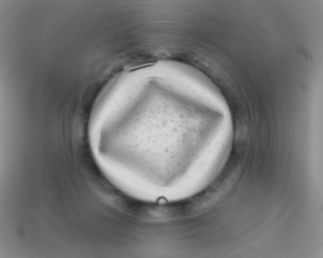 X0000113610268200910161936