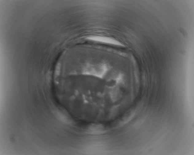 X0000113610271200910161936