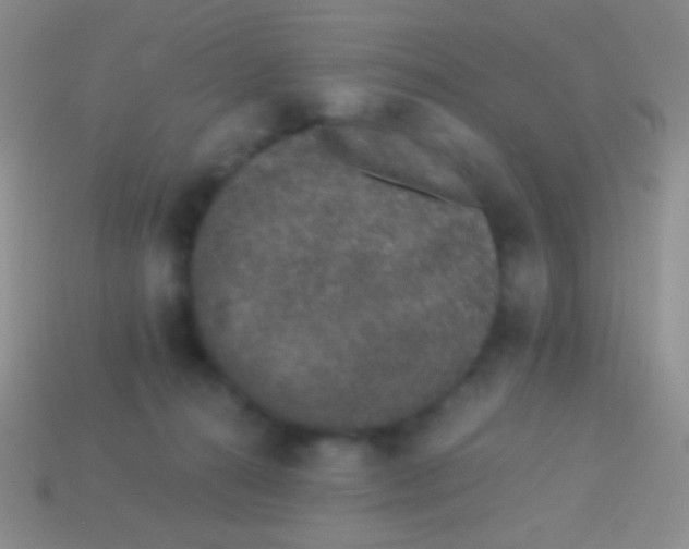 X0000113610272200910161936