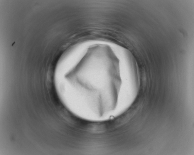 X0000113610275200910161936