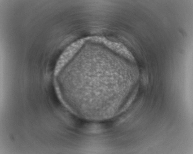 X0000113610276200910161936