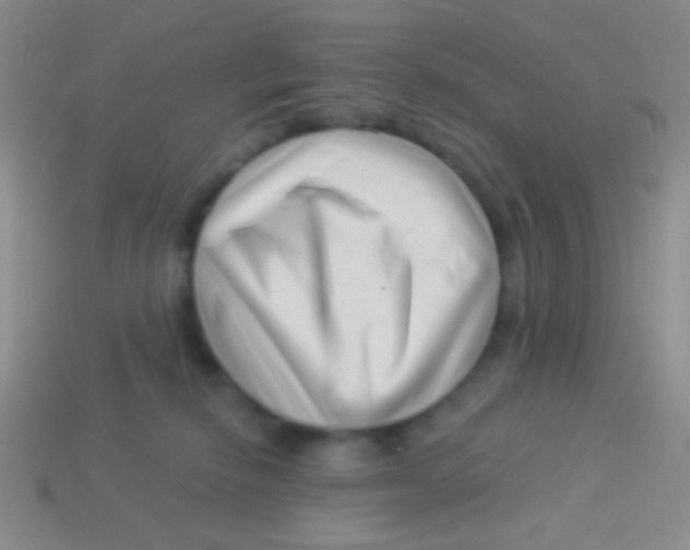 X0000113610278200910161936