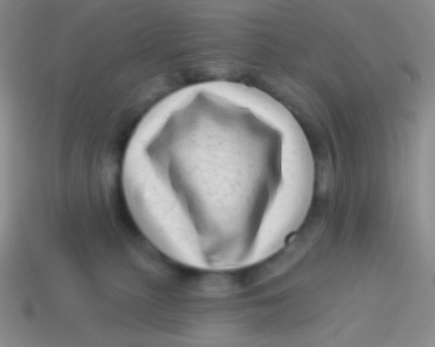 X0000113610279200910161936