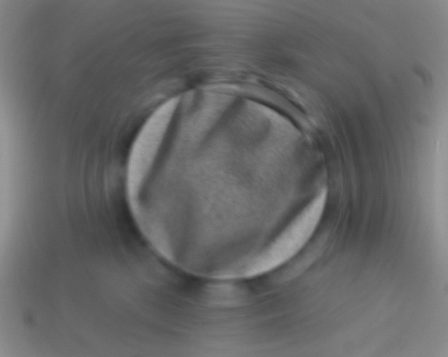 X0000113610281200910161936