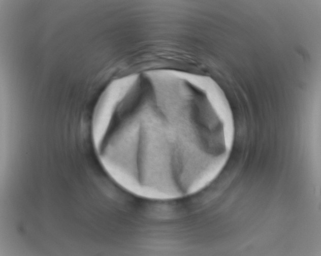 X0000113610282200910161936