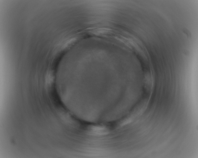 X0000113610284200910161936