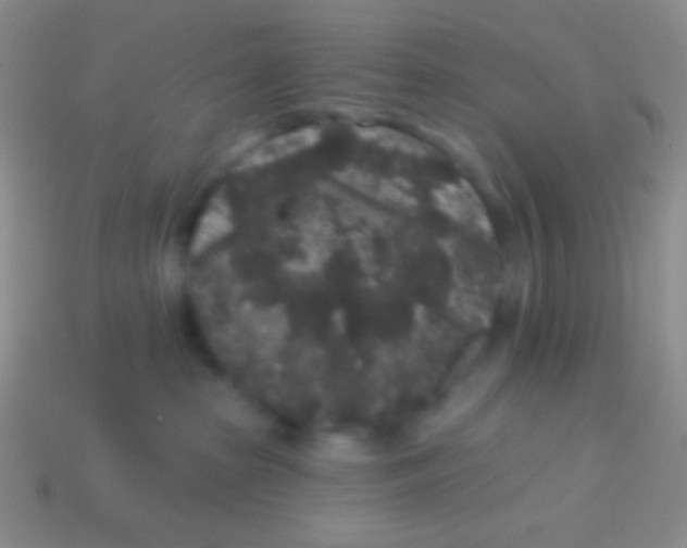 X0000113610285200910161936