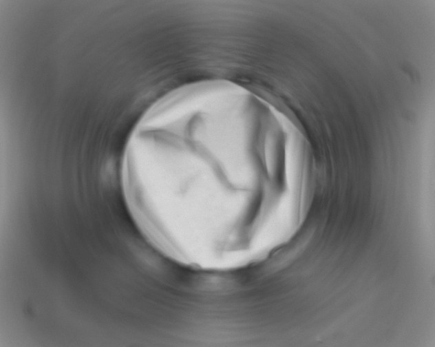 X0000113610286200910161936