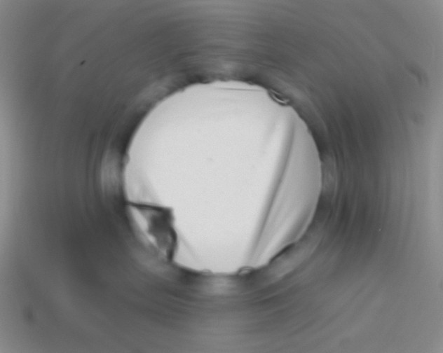 X0000113610287200910161936