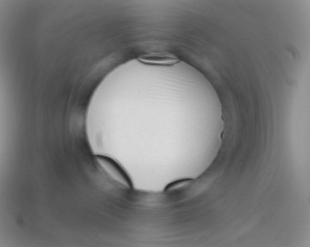 X0000113610288200910161936