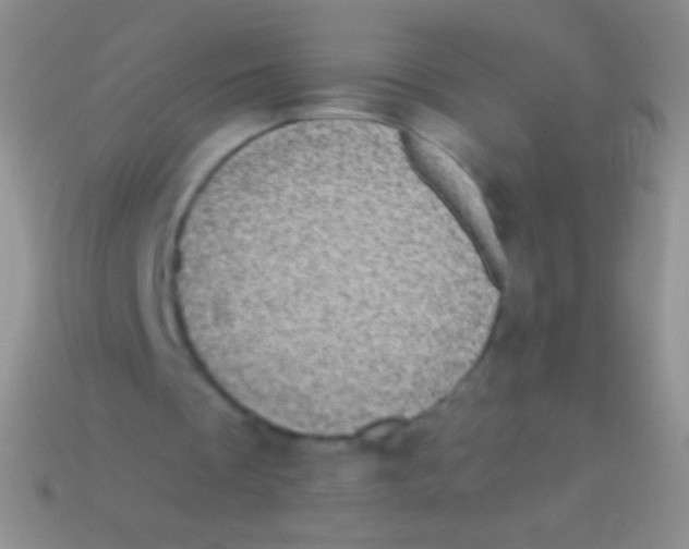 X0000113610289200910161936