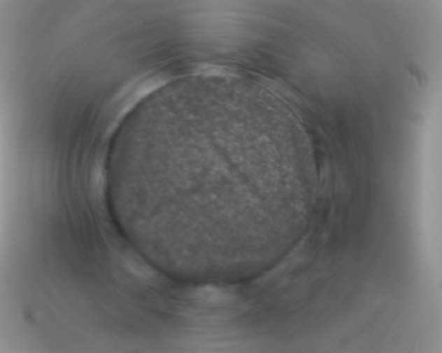 X0000113610290200910161936