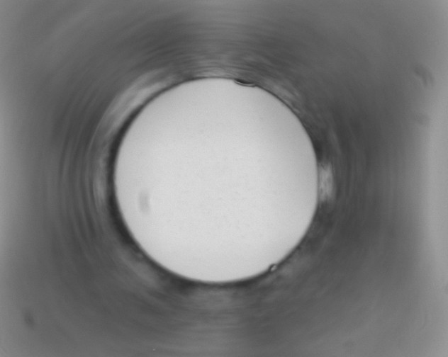 X0000113610291200910161936