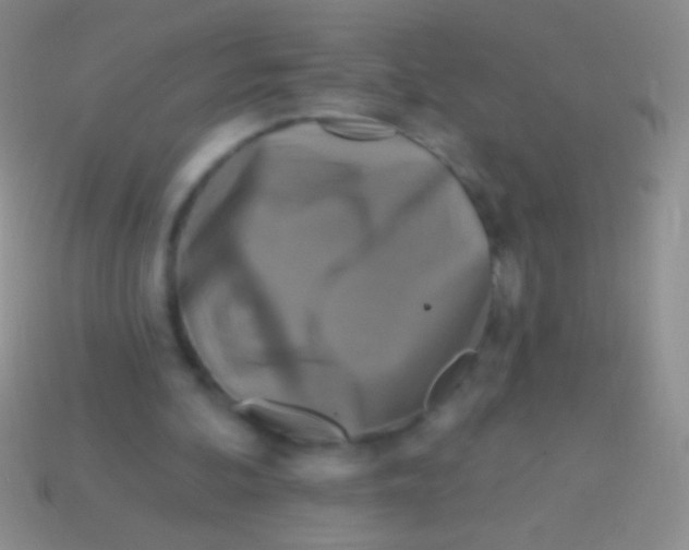 X0000113610292200910161936