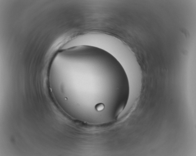 X0000113610293200910161936