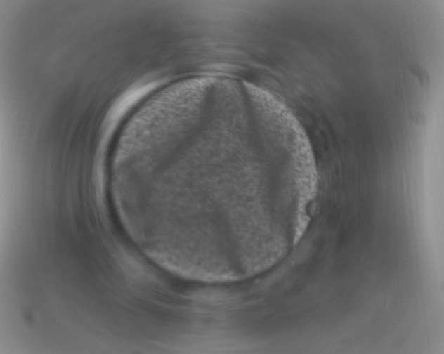 X0000113610294200910161936