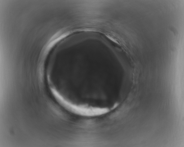 X0000113610295200910161936