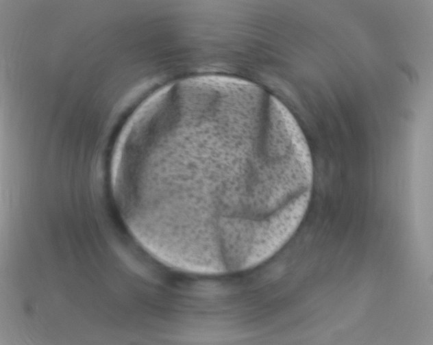 X0000113610298200910161936