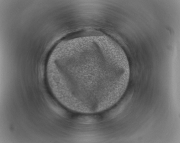 X0000113610299200910161936