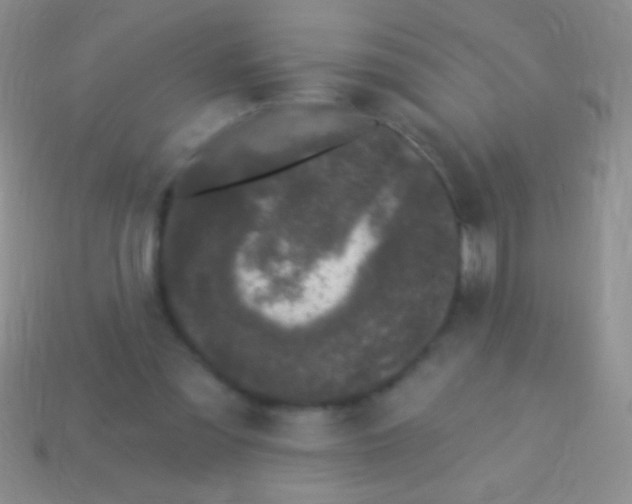 X0000113610301200910161936