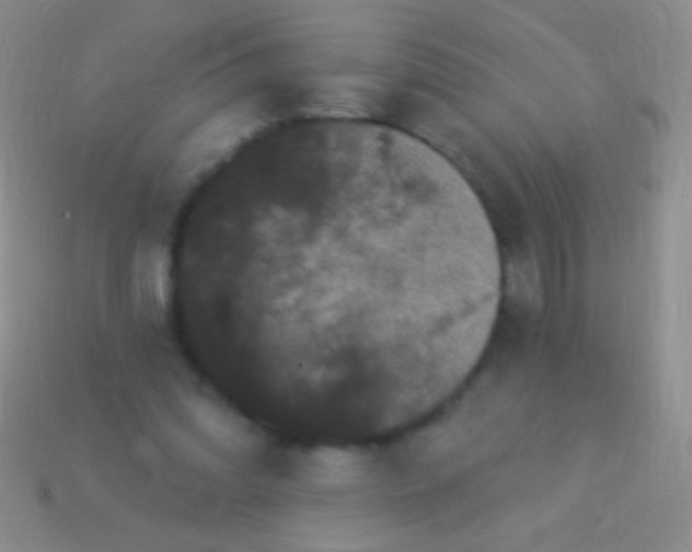 X0000113610302200910161936