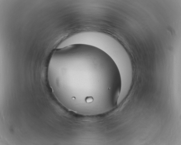 X0000113610305200910161935