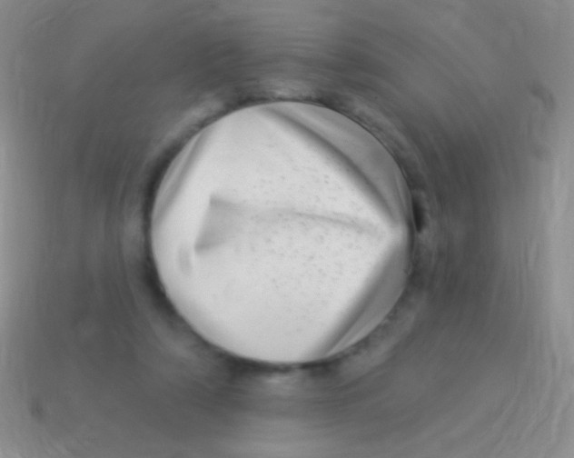 X0000113610306200910161935