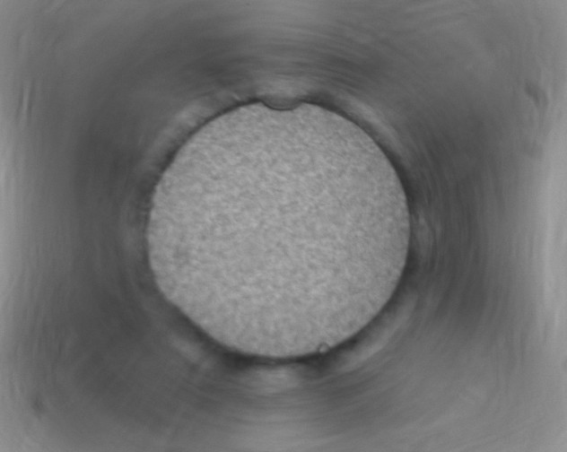 X0000113610307200910161935