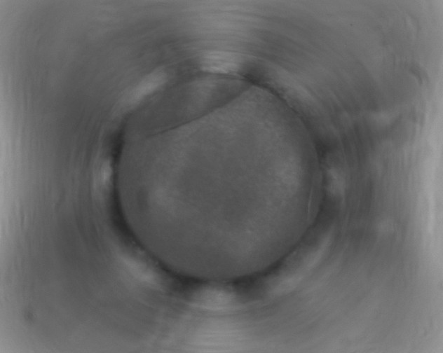 X0000113610308200910161935