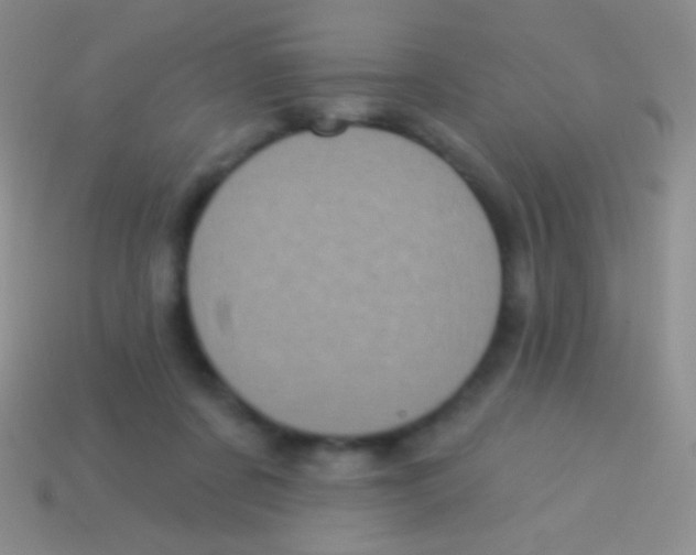 X0000113610311200910161935