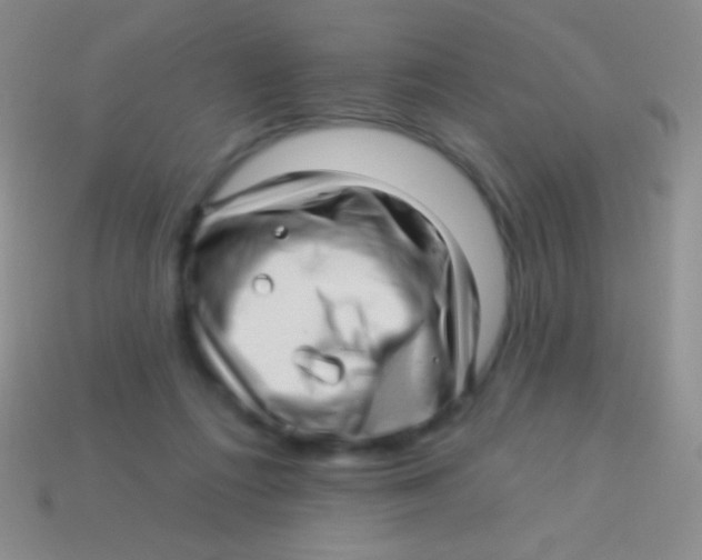 X0000113610312200910161935