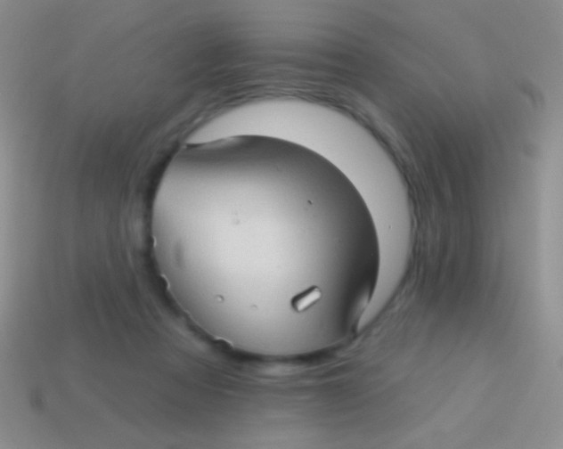 X0000113610313200910161935