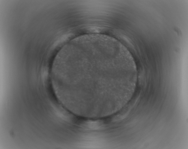 X0000113610314200910161935