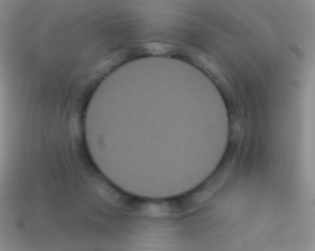 X0000113610317200910161935